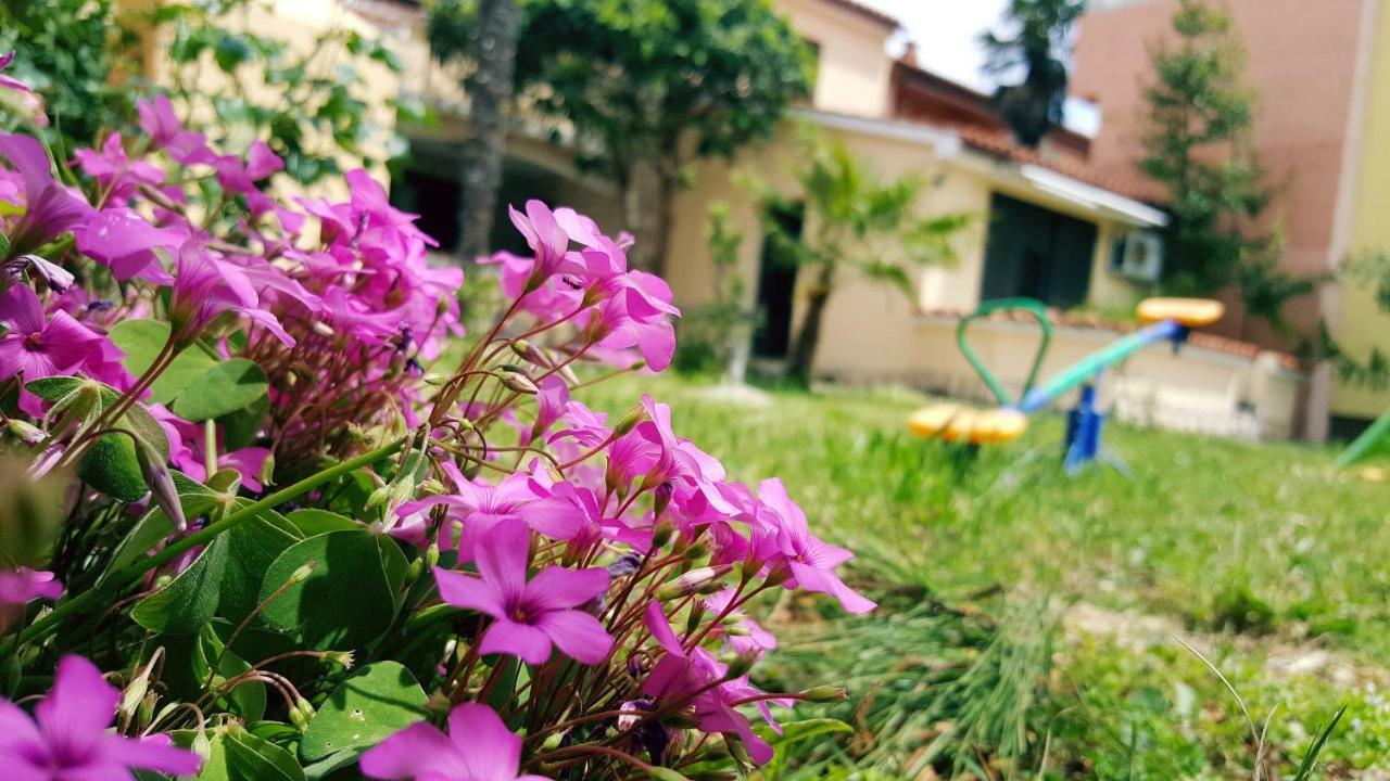 Apartmani Koin Medulin Bagian luar foto